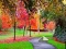 Spel Butterfly Family Escape aanlyn