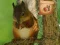 Spel Return To Mysterious Password Forest aanlyn