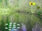 Spel Sunlight Forest Adventure aanlyn