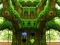 Spel Frenzy Crocodile Escape aanlyn