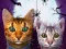 Spel Cat Simulator Online aanlyn