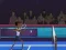 Spel Badminton Brawl aanlyn