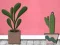 Spel Find Houseplant aanlyn