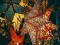 Spel Christmas Stars Jigsaw aanlyn