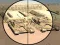 Spel Camo Sniper aanlyn
