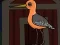 Spel Cute Godwit Escape aanlyn