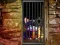 Spel Hidden Cat Escape aanlyn