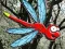 Spel Escape From Dragonfly Forest aanlyn