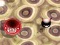 Spel Bouncing Blob aanlyn
