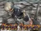 Spel Total Terror aanlyn