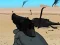 Spel Weapon aanlyn