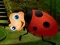 Spel Rescue The Couple Bug aanlyn