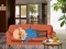 Spel Wakeup The Grandpa aanlyn