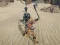 Spel The Scythian Warrior aanlyn