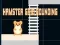 Spel Hamster grid rounding aanlyn
