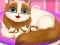 Spel Cute Kitty Pregnant aanlyn