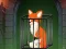 Spel Fox in the Forgotten Ruins aanlyn