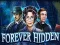 Spel Forever Hidden aanlyn