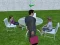 Spel Millionaire Simulator 2024 aanlyn