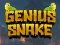 Spel Genius Snake aanlyn