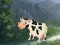 Spel Cow Reach the Shed aanlyn