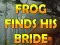 Spel Frog Finds His Bride aanlyn