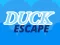 Spel Duck Escape aanlyn