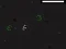 Spel Bad Timing aanlyn
