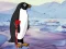 Spel Heal the Wounded Penguin aanlyn