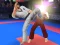 Spel Karate Fighter aanlyn