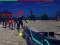 Spel Zombie Survivor aanlyn