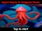 Spel Squid Game In Dalgona Panic aanlyn