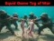 Spel Squid Game Tug Of War aanlyn
