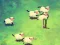 Spel Shleep aanlyn