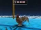 Spel Animal Impossible Track Rush aanlyn