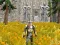 Spel Axe Of The Ancients Dwarven Fury aanlyn