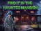 Spel Find It In The Haunted Mansion aanlyn