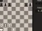 Spel Fun Chess Puzzles! aanlyn