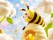 Spel Find The Differences: Little Bee's Adventure aanlyn