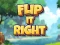 Spel Flip It Right aanlyn
