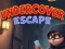 Spel Undercover Escape aanlyn