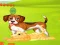 Spel Bunny Key Quest aanlyn