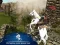Spel Ertugrul Gazi Horse Sim aanlyn