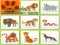 Spel Wild Animals Kids Memory game aanlyn