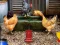 Spel Poultry Farm Easter Escape aanlyn