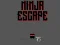 Spel Ninja escape aanlyn