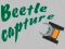 Spel Beetle Capture aanlyn