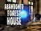Spel Abandoned Forest House aanlyn