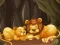 Spel Fun Zoo Animals Jigsaw aanlyn