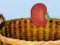 Spel Harvesting aanlyn